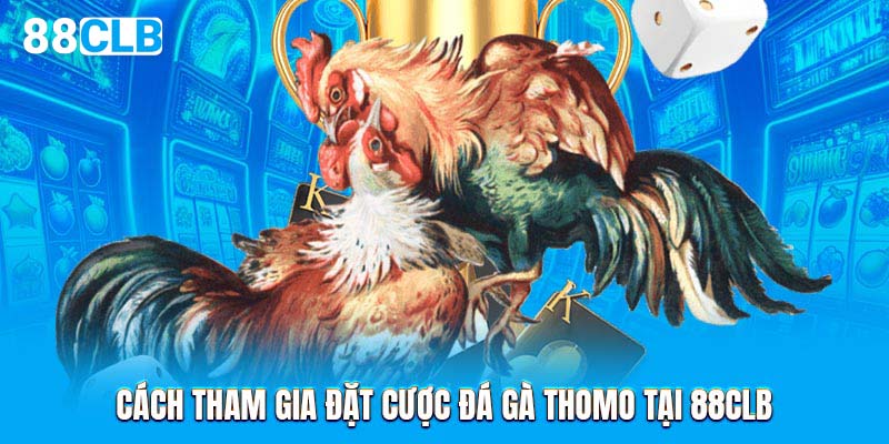 Cách tham gia đặt cược đá gà Thomo tại 88CLB