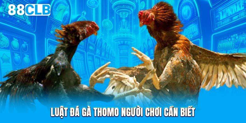 Luật chơi đá gà Thomo người chơi cần biết