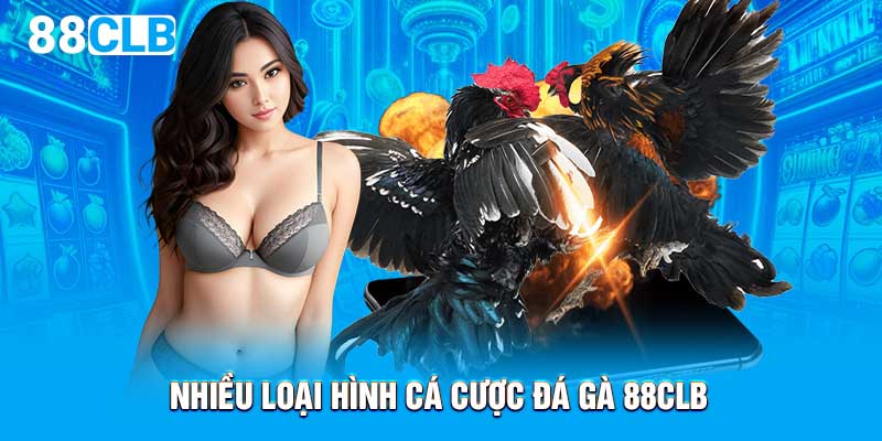 Nhiều loại hình cá cược đá gà 88CLB