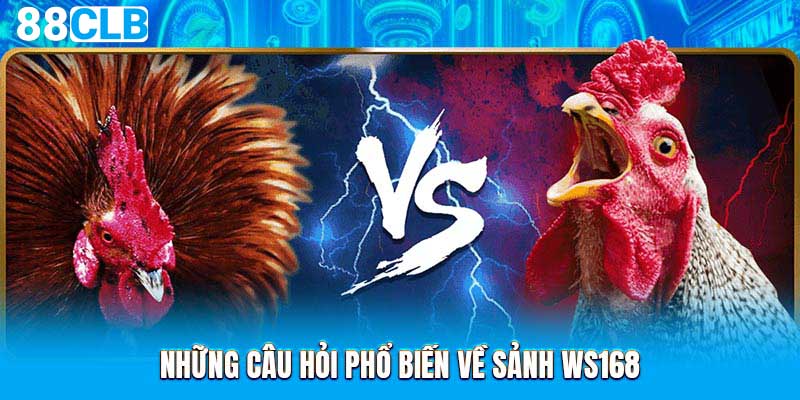 Những câu hỏi phổ biến về sảnh WS168