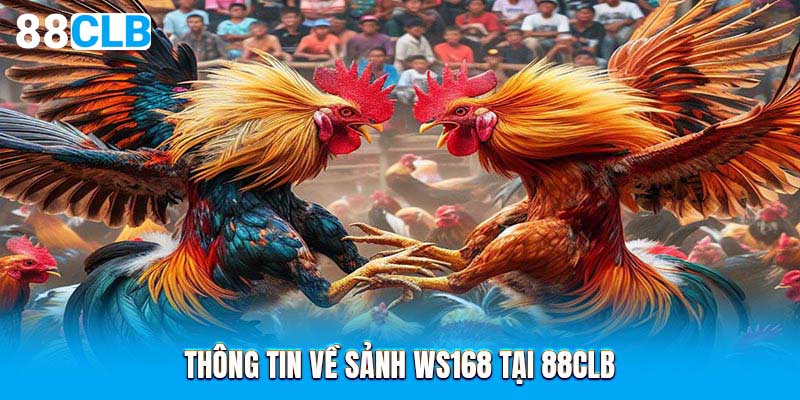 Thông tin về sảnh WS168 tại 88CLB